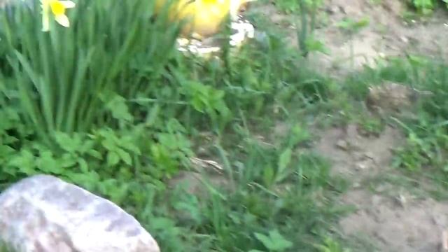 Теплиц много не бывает. смотреть онлайн