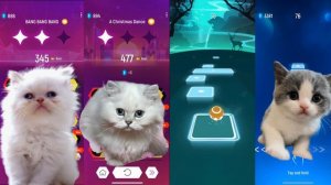 Cute Cats - Bongo Cat - Shakira Waka Waka - Lady Gaga Blooody Mary - Tiles Hop EDM Rush
