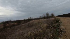 охота на фазана 2022