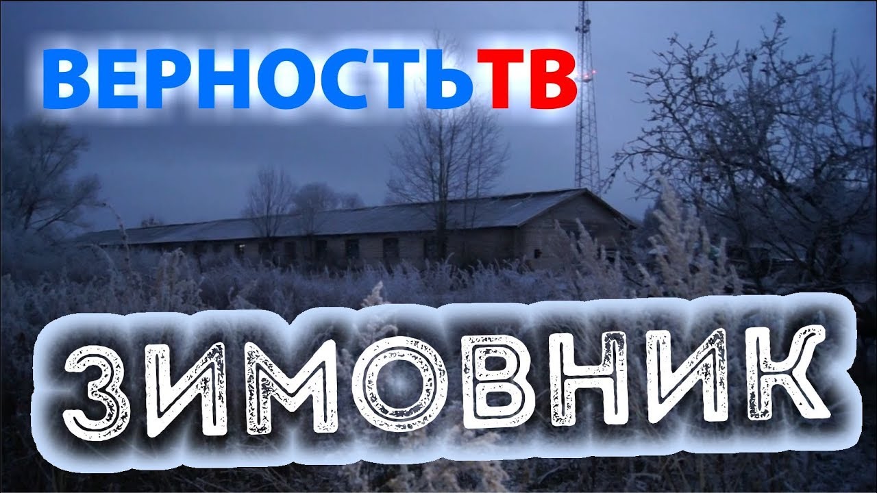 Создаём тепло для бездомных животных!