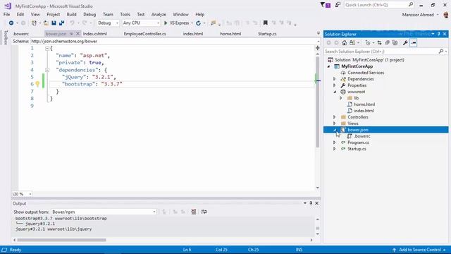 ASP.Net Core MVC App , bower.json, appsetting.json And Model (ASP.Net Core Part - 6)