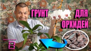 ГРУНТ ДЛЯ ОРХИДЕЙ СВОИМИ РУКАМИ. ОРХИДЕИ В ДОМАШНИХ УСЛОВИЯХ. ЭКЗОТИКА НА ПОДОКОННИКЕ