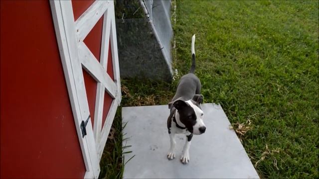 nikon d3200 смотреть онлайн