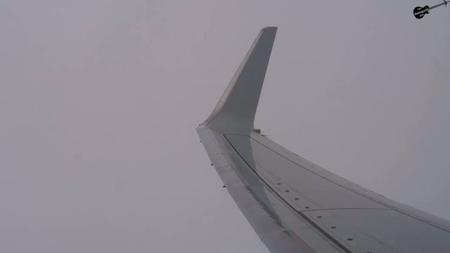 American Airlines B737-800 Economy Class - Chicago to Washington D.C. смотреть онлайн