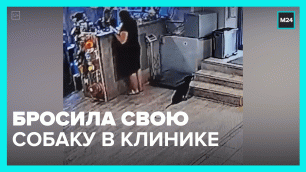 Женщина бросила свою больную собаку в ветклинике – Москва 24