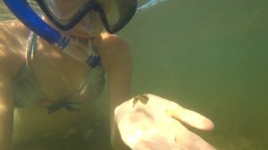 ТАМАНСКИЙ ЗАЛИВ. НАША ЖИЗНЬ ПОСЕЛОК ПРИМОРСКИЙ