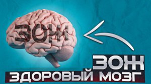 ЗДОРОВЫЙ ОБРАЗ ЖИЗНИ - ЗДОРОВЫЙ МОЗГ