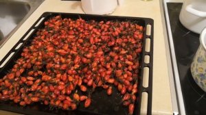 Заготовка шиповника на зиму