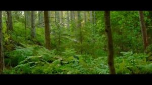 Оторви и выбрось - официальный трейлер