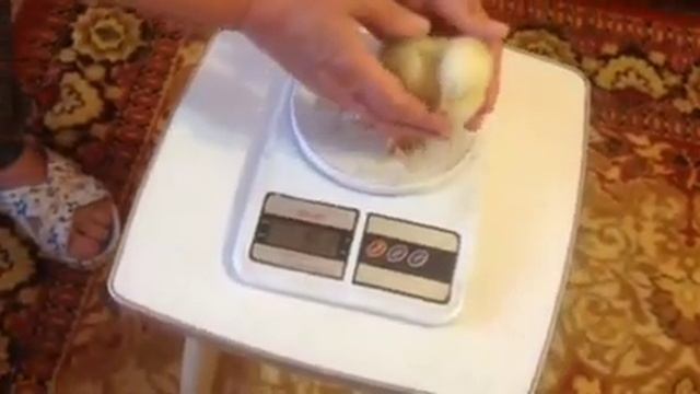 Бройлеры РОСС 308. Цыплятам 3-е суток. Содержание и особенности ухода. Аптечка для цыплят. смотреть онлайн