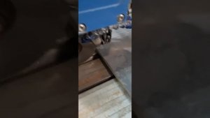 Диск для плиткореза Wandeli. Чем пилим мы.