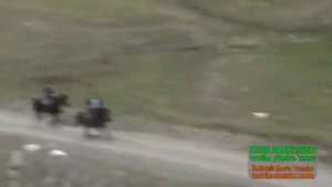 Кардиб 2019 г