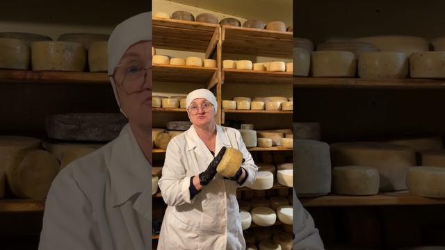 Самый раскупаемый сыр - Солоновский Солоновкино, сыроварня, обзор сыров смотреть онлайн