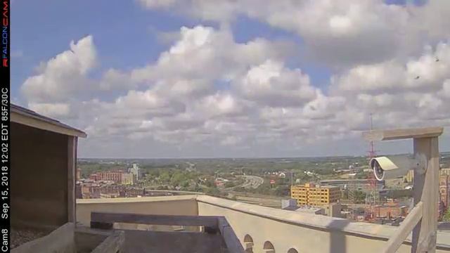 Camera 8 - 09/15/18 смотреть онлайн