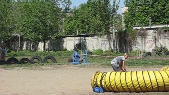 джек аджилити.avi смотреть онлайн