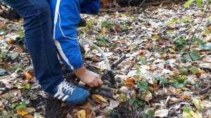 Остров Сарпинский. Прогулка...