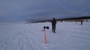 Кама. Рыбалка на ратлины. Ловим судака НЕ в толпе)