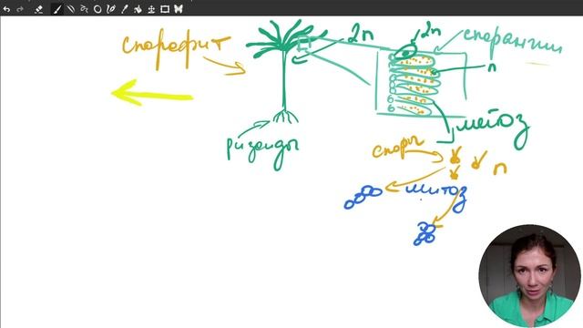 НЕ ЗНАЕШЬ ЦИКЛ ЛАМИНАРИИ? НЕ СДАШЬ ЕГЭ! смотреть онлайн