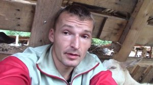 Про альбендазол в случной период