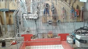 Ремонт необычной клетки от Темки Птицелова
