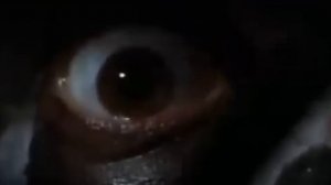 Фильмы про побег из тюрьмы