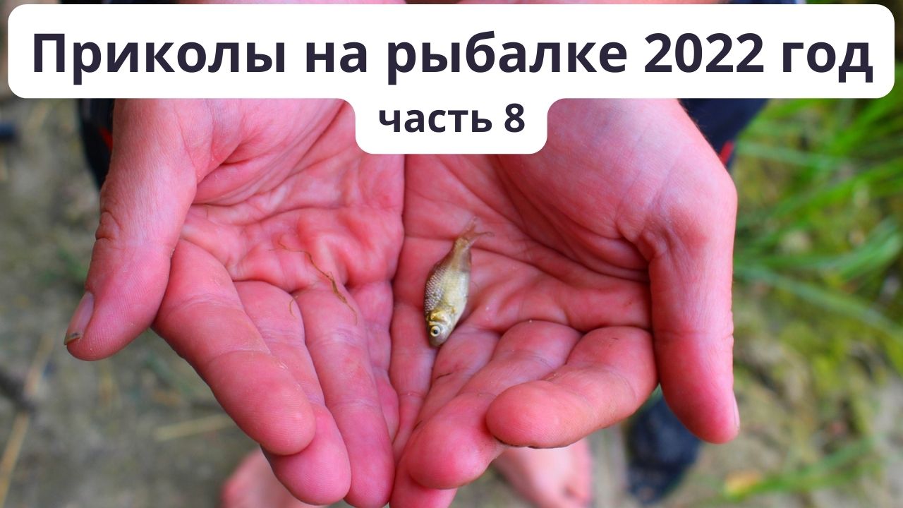 Подборка приколов на рыбалке в 2022 году