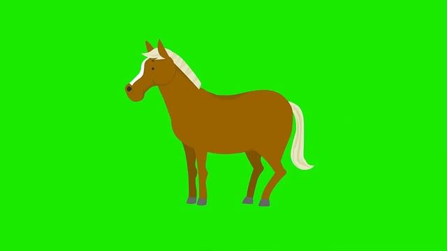 Футажи на хромакее. Домашние животные. Футажи для видеомонтажа.