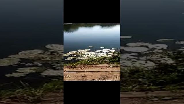 На реке смотреть онлайн