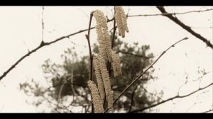 Fujifilm finepix s9600 test pictures