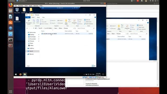 PyRDP Demo with Session Takeover смотреть онлайн