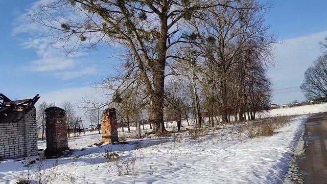 30.01.24. Новый декабрист. Шоковая посадка перца. Купила ящики для цветов на улицу. смотреть онлайн
