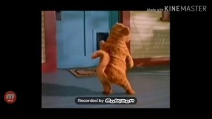 Танец кота Гарфилда подходит под любую песню!