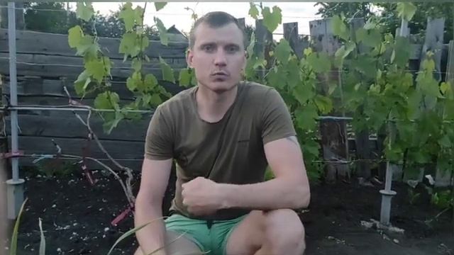 Антракноз винограда и как с ним бороться!!!