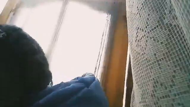 Проважаем брата в армию? смотреть онлайн