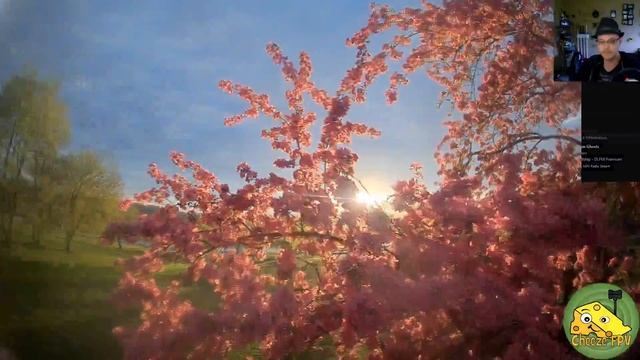 What's In The Cards? | 5/4/2020 смотреть онлайн