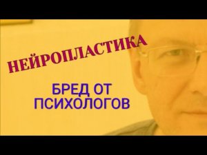 Нервные клетки не восстанавливаются И ТОЧКА