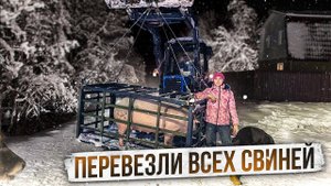Забрали последних поросят. Трудимся всей семьей на ферме | Молодая Ферма