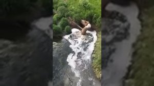 Сброс сточных вод в реку Десна