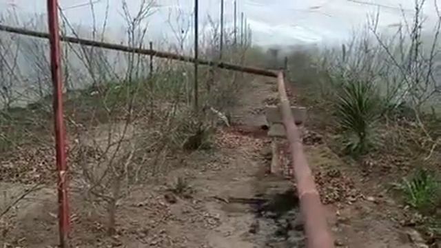 5 февраля 2024 г. смотреть онлайн