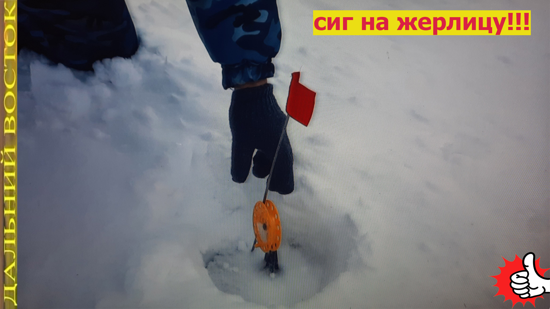 как поймать сига на жерлицу..mp4
