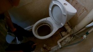 Туалетный блок в унитазе. Засор(26)