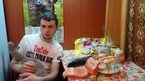 Кошка очень сильно хочет, просит кота. Кот вдул кошке Онлайн при съёмке видео! Кошка сильно орёт!!!