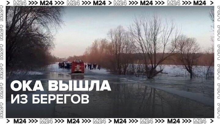 Ока вышла из берегов. Мосты Морозы. Половодье на Москве реке. Река Ока вышла из берегов. Интервью с затоплением.