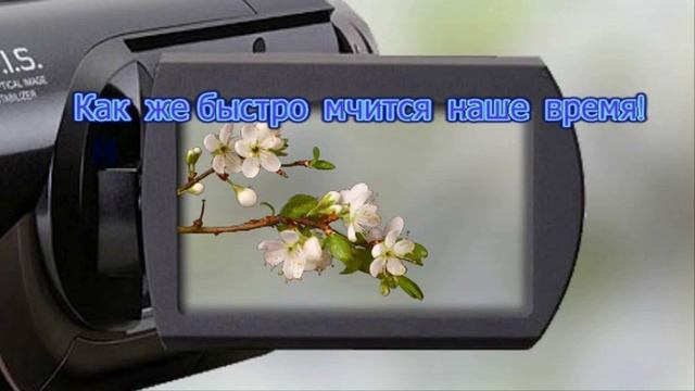 365 видеопоздравлений.  Слайд шоу из фотографий