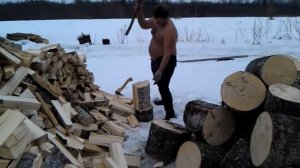 Колка осины.