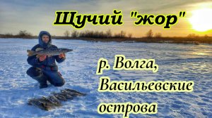 ЛОВЛЯ ЩУКИ НА ВОЛГЕ /РЫБАЛКА НА ЖЕРЛИЦЫ /ВАСИЛЬЕВСКИЕ ОСТРОВА /ЩУКА НА ЖИВЦА/ЗИМНЯЯ РЫБАЛКА НА ВОЛГЕ