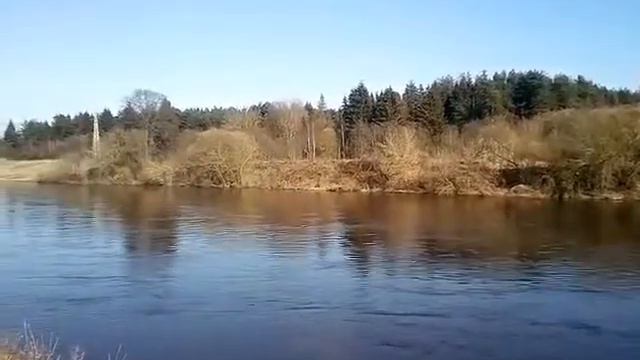 Днепр в Орше