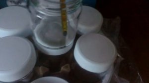 ОНЛАЙН ТРЕЙД.РУ — Йогуртница Gemlux GL-YM101