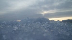 залив Судовский !!!! Хороший утренний клев!!!