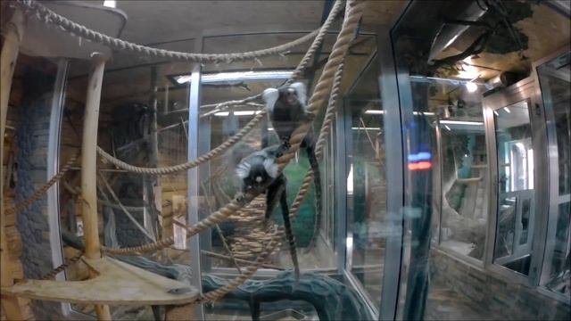 ПОЕЗДКА в У ЛУКОМОРЬЯ Тюмень ВЫХОДНОЙ